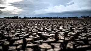 Super El Niño intră într-o fază periculoasă. Ce efecte sunt așteptate în următoarele luni