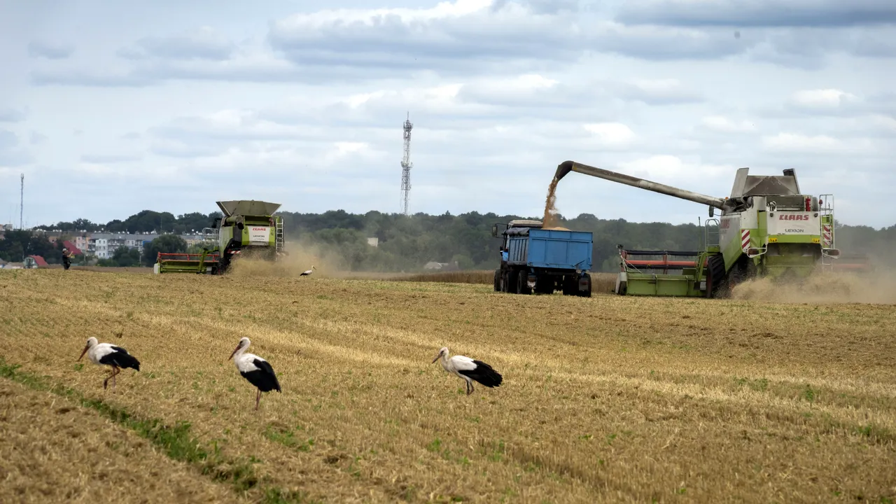 Polonia nu va accepta anularea restricţiilor privind cerealele din Ucraina. România, îndemnată să adopte o poziţie similară