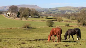 Atracție turistică. Un mic sat cu o singură stradă are un restaurant de top