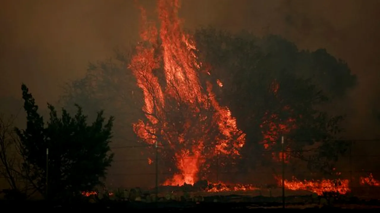 Mii de persoane evacuate şi 18 clădiri avariate în Colorado, din cauza unui incendiu de vegetaţie