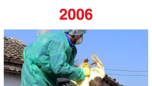 2006