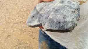 Cea mai veche fosilă de pe Pământ, descoperită recent. Conţine primele dovezi ale vieţii de pe Terra