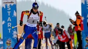 Ţiriac: În România nu ştie nimeni să calculeze costurile unui eveniment sportiv