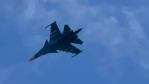 Președintele Lituaniei: Avioane militare rusești au întrat în spațiul aerian al țării, o încălcare flagrantă a integrității teritoriale