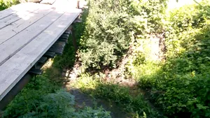 Dosar penal în cazul podeţului din Plopu care s-a rupt cu 20 de persoane 