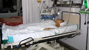 Bărbatul rănit în atacul armat de la Braşov a rămas fără ochiul stâng