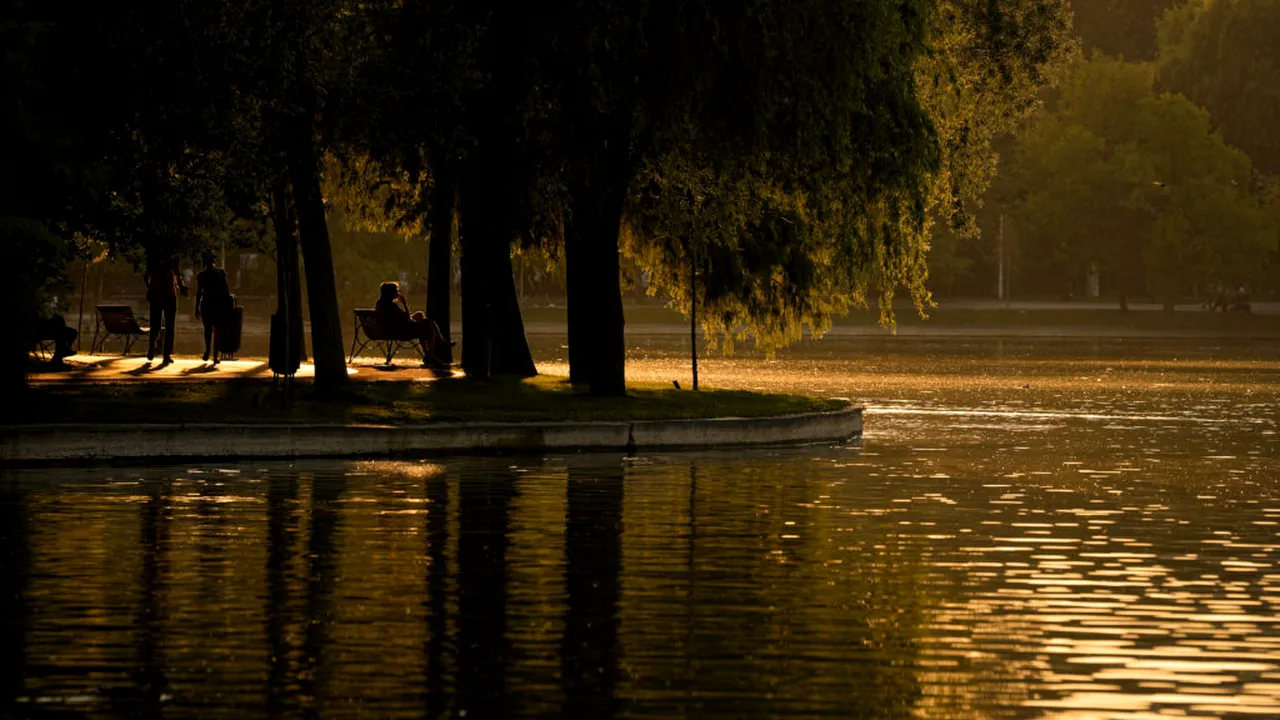 Robert Negoiță a retras proiectele privind modernizarea Parcului IOR de pe ordinea de zi a ședinței de azi
