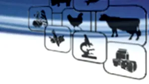 Noul şef al ANSVSA va fi Viorel Andronie, preşedintele Colegiului Medicilor Veterinari - surse