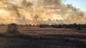 Incendiul din Delta Văcăreşti din Capitală a fost stins după 4 ore / 11 echipaje ale ISU au intervenit pentru stingerea tuturor focarelor