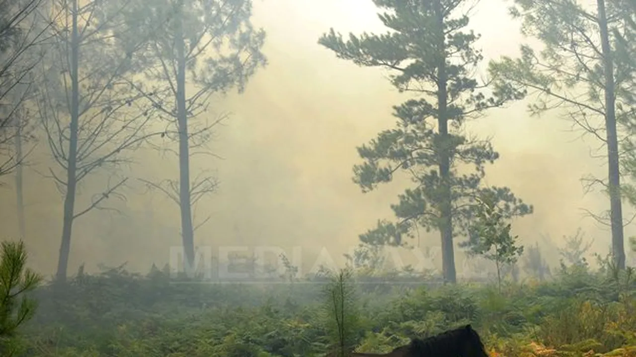 Aproximativ 500 de persoane au fost evacuate în Sardinia din cauza incendiilor de vegetaţie