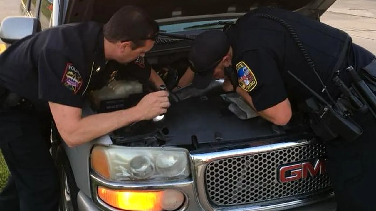 O femeie, al cărei automobil se comporta ciudat, a făcut o descoperire TERIFIANTĂ sub capotă | FOTO