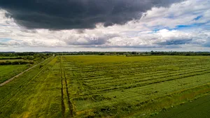 Guvernul pariază că agricultura va creşte cu două cifre în 2021. Analiştii estimează o recoltă de peste 34 de milioane de tone