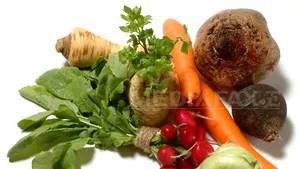 Ai o fermă eco? Câţi bani poţi lua de la UE din 2011?