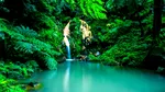 Vacanță într-un „Hawaii al Europei”. Aceste insule atrag turiști prin peisaje vulcanice și costuri reduse