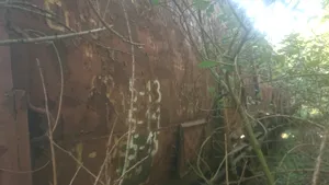 Accident de muncă la Simeria: Un bărbat a murit strivit între două vagoane