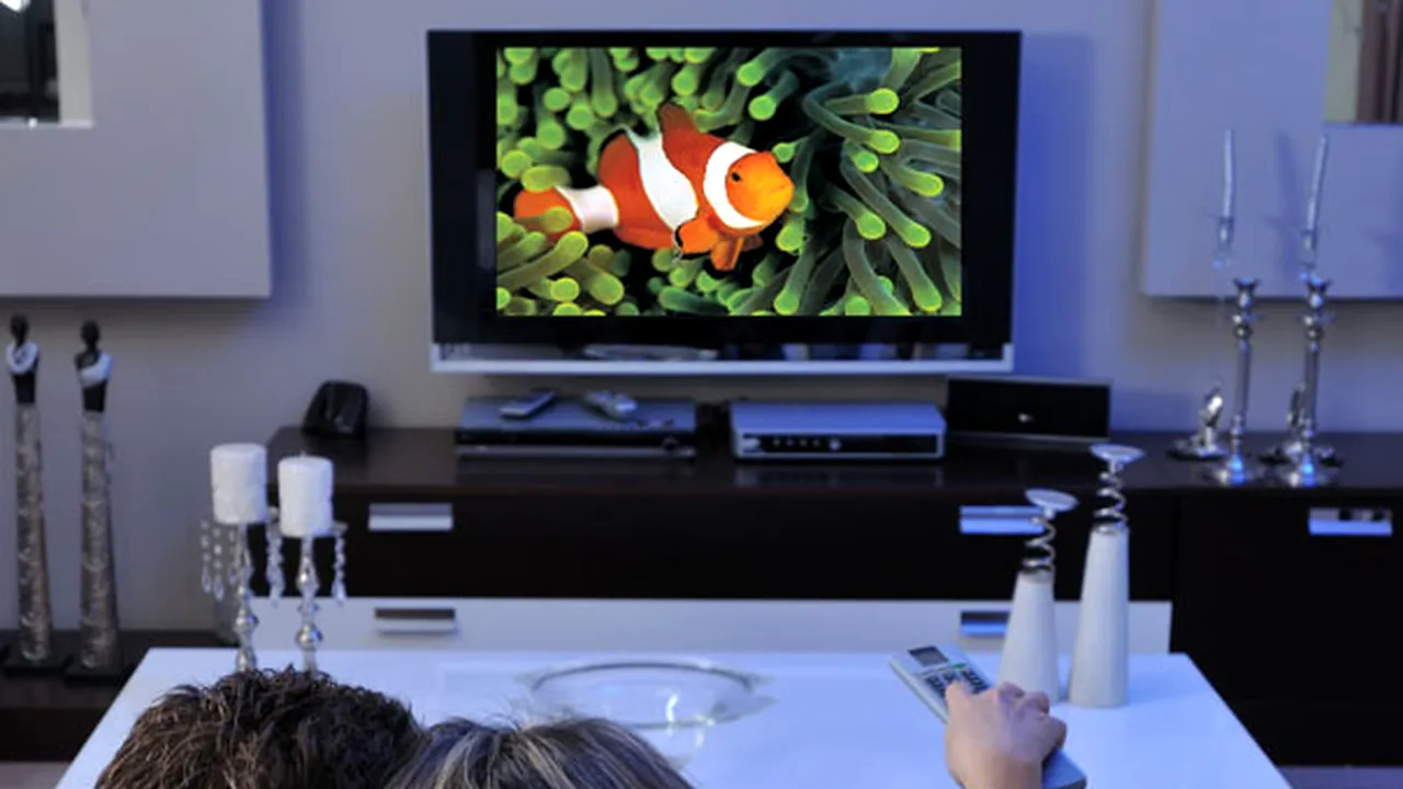 Noi canale TV în grila dolcetv.ro