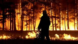 INCENDIU de pădure în Buzău: Între 4 şi 5 hectare de pădure ard în comuna Lopătari 