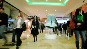 Apetitul pentru consum va reveni în a doua jumătate din 2010