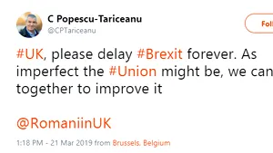 Politician din România, rugăminte specială pentru Marea Britanie: Vă rog amânaţi Brexit pentru totdeauna | FOTO