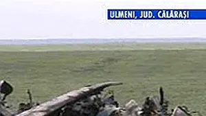Un avion AN2, utilitar, s-a prăbuşit în Călăraşi