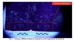 Explicațiile lui Zelenski despre drona de la Galați. Care a fost scopul rușilor