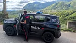 Credea că e la Trieste, dar era la Treviso. O româncă, oprită de poliție cu o alcoolemie de șase ori peste limită