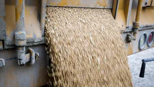 Exporturile de cereale ale Ucrainei prin Polonia şi România se confruntă cu blocaje - oficial