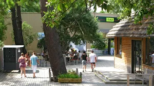 Vacanţa mare şi afacerile: Cote maxime la vânzările de jucării, articole sportive şi de camping, dar şi echipamente de îngrijire personală & fitness