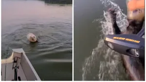 VIDEO: Un urs a fost salvat de o familie curajoasă. Nu avea costum de scafandru, ci îşi blocase capul într-un bidon de plastic