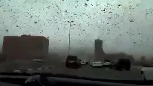 Imagini apocaliptice în Bahrain. Ziua s-a transformat în noapte din cauza roiurilor de lăcuste