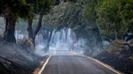 Industria afectată de incendiile devastatoare din Spania: fumul îndepărtează turiștii