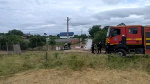 Efectele ploilor abundente și ale vijeliilor: gospodării inundate, drumuri blocate de arbori părăbușiți