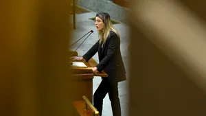 Stejar de 150 de ani ras de pe fața pământului în pădurea Felix / Diana Buzoianu anunță dosare penale pentru firma de exploatare și pentru presupuși complici de la Romsilva