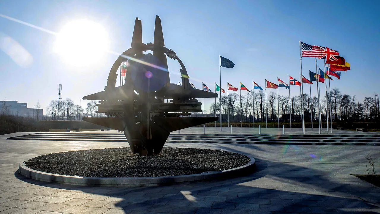 ANALIZĂ: NATO – asumarea unei alianţe sau haină pentru vremuri grele