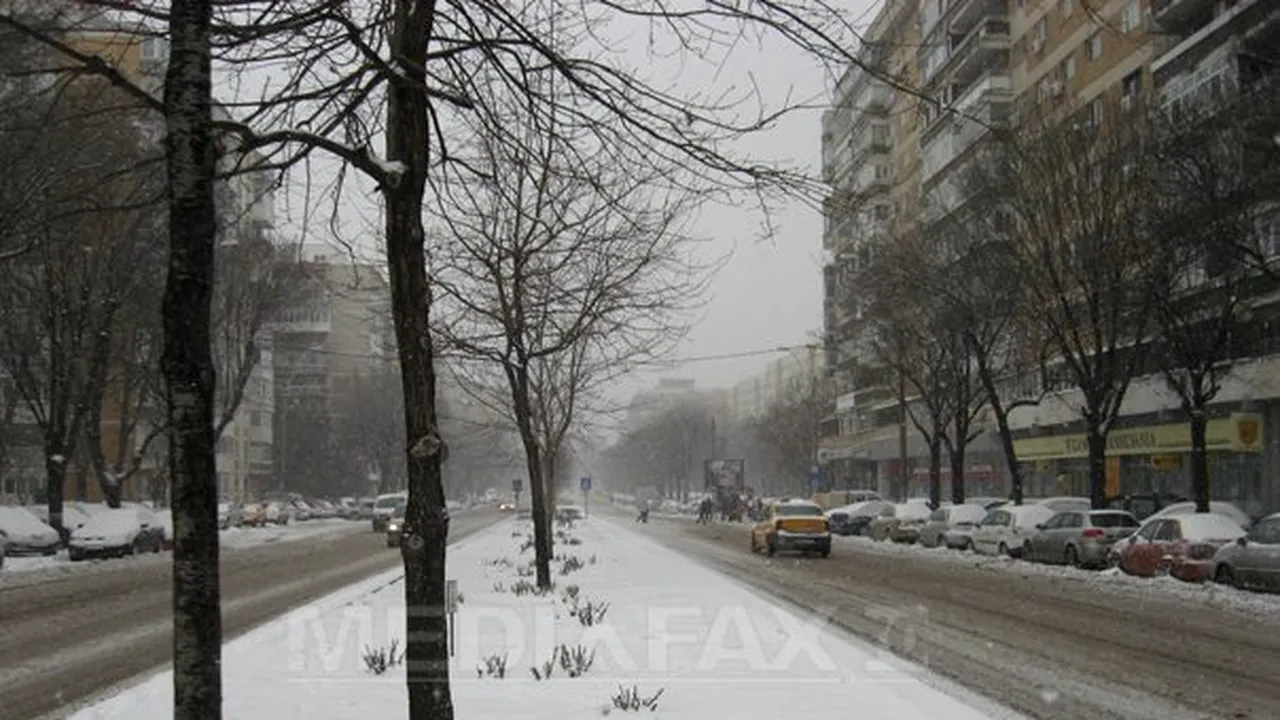 NINSOARE în Bucureşti. Cum arată Capitala acoperită de zăpadă - GALERIE FOTO