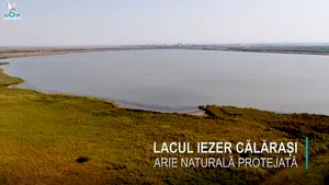 VIDEO Catastrofă ecologică, anunţată de Societatea Ornitologică: Lacul Iezer din Călăraşi a secat în mai puţin de trei luni