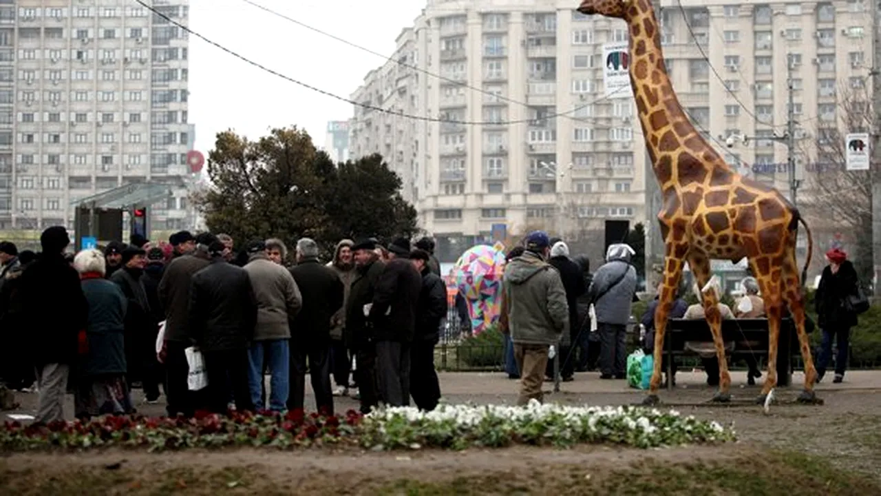 PROTEST al revoluţionarilor la sediul Guvernului: Doi sunt în greva foamei - FOTO