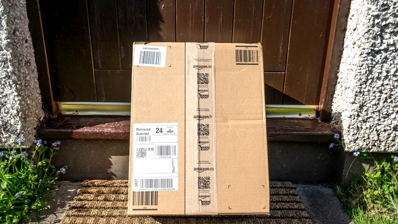 Surpriza de care a avut parte un bărbat când i-a ajuns comanda de pe Amazon. Unde a găsit coletul | FOTO