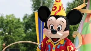 Mickey Mouse, Donald Duck şi Winnie the Pooh, confiscaţi de inspectorii vamali de la Constanţa Sud