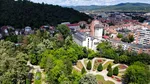 Parcul Zăvoiul, finanțat de Barbu Știrbei acum 165 de anii, defrișat masiv din cauza unei bacterii agresive