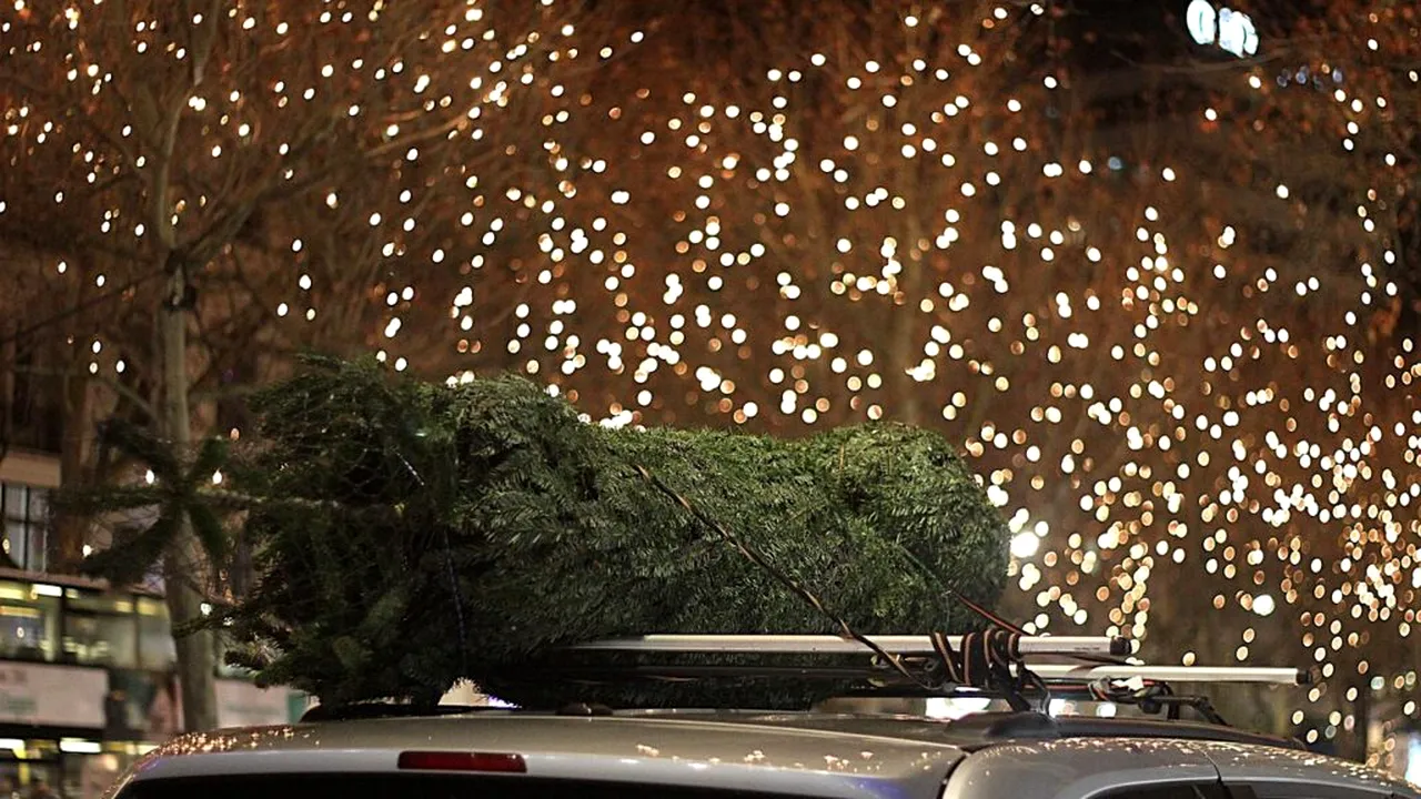 Daniel Băluță anunță când și unde se aprind luminițele festive. Vor fi pornite milioane de becuri colorate și aproape 5.000 de decorațiuni luminoase