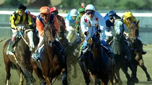 Un jucător dependent îşi dă în judecată agentul de pariuri pentru că nu i-a interzis să joace