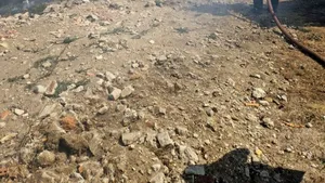 Mesaj RO-Alert din cauza unui incendiu produs la ieșirea din Craiova. Șapte hectare, afectate