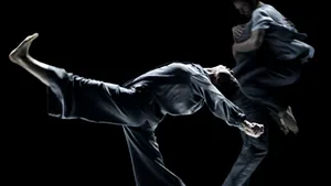 Spectacole din Marea Britanie şi Franţa, la festivalul eXplore dance