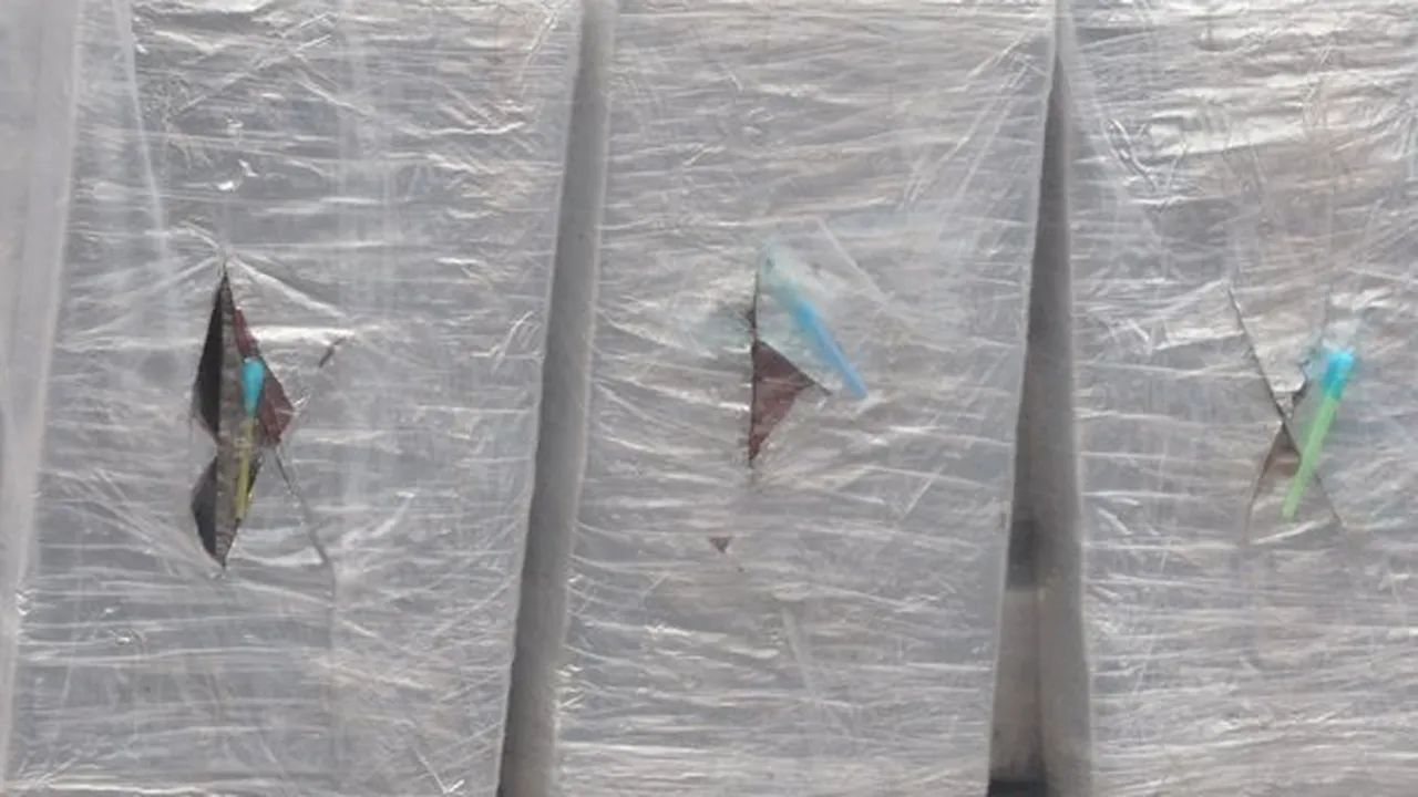 Heroină în valoare de 1.500.000 de euro, confiscată într-un dosar de trafic de droguri: Un cetăţean român şi trei din Republica Moldova, implicaţi - VIDEO