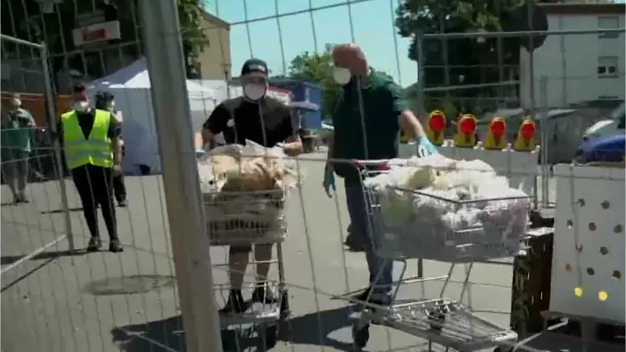 Munca la un abator din Germania arată altfel în vorbe decât în realitate. Ce li se promite românilor. „Acolo apare păcăleala”