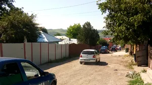 30.000 de euro, sisteme informatice şi acte, ridicate după cele 12 percheziţii din dosarul de spălare de bani şi tăiere fără drept de arbori, din Ghimeş-Făget