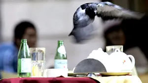 Au explodat preţurile după redeschidrea barurilor din primul focar de COVID-19 din Europa! Cât a ajuns să coste o cafea şi un suc