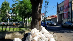 FOTO Saci de moloz aruncaţi la întâmplare pe domeniul public din Sectorul 2
