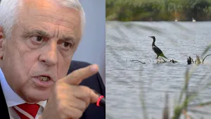 După plecarea de la minister, Petre Daea mai primeşte o lovitură. Iohannis a retrimis în Parlament legea 